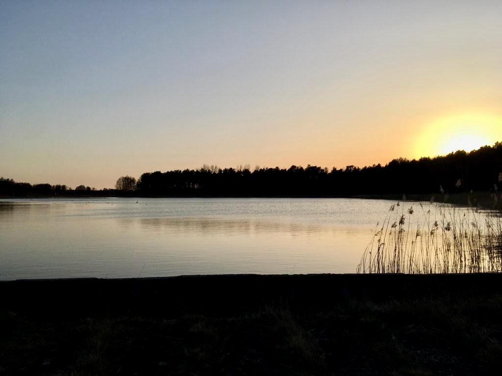 Angelpark Neue Mühle – Luftaufnahme Sommer