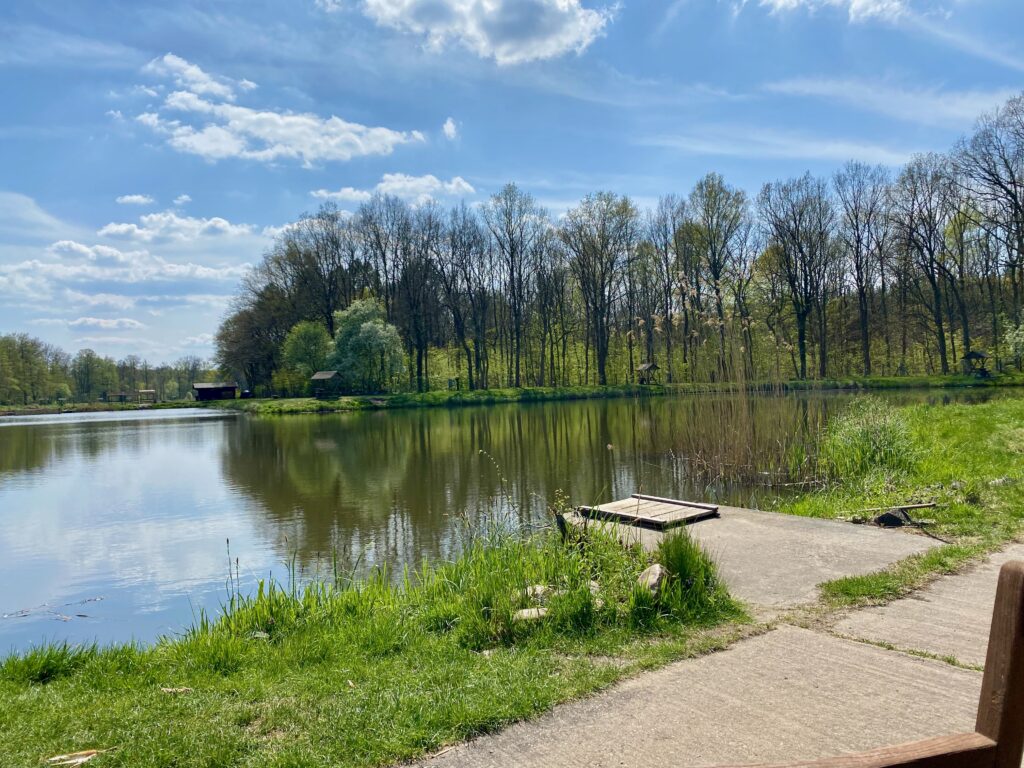 Teich im Frühling mit Fischerhütte