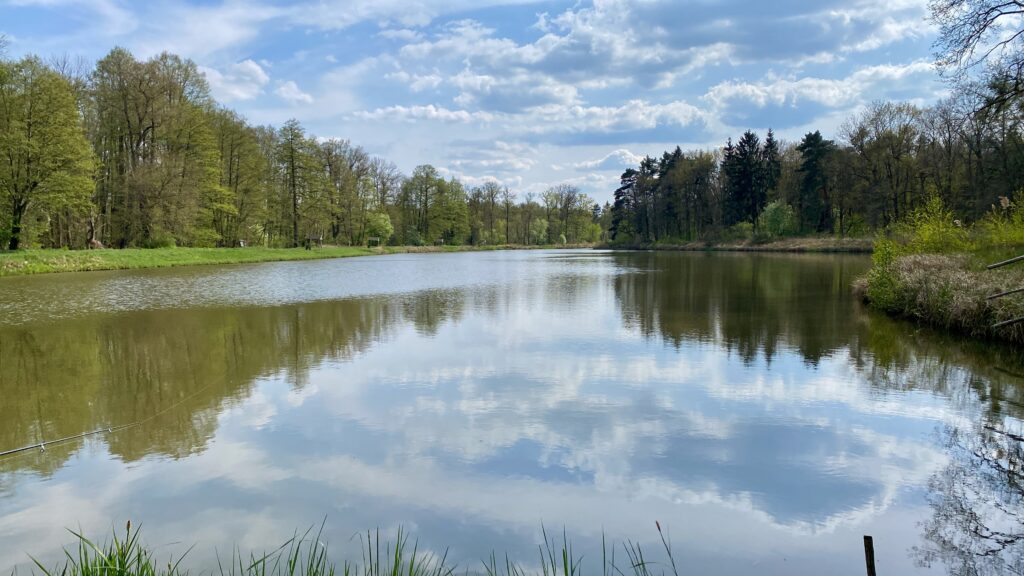 Angelpark Abendstimmung Drohne